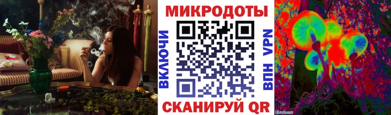 Галлюциногенные грибы GOLDEN TEACHER  где купить   Пласт 